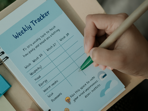 Pregnancy Journal & Tracker Kit – ECOMOOJ
